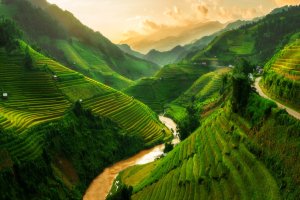 Vietnam: terrazas de arroz en Mu Cang Chai, cerca de Sapa