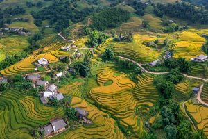 Vietnam: terrazas de arroz en Y Linh Ho, valle de Ta Van en Sapa