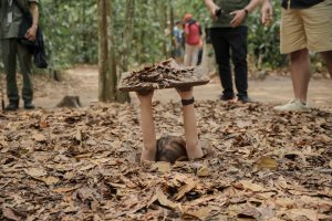 Vietnam: visitantes entrando en los históricos túneles de Cu Chi