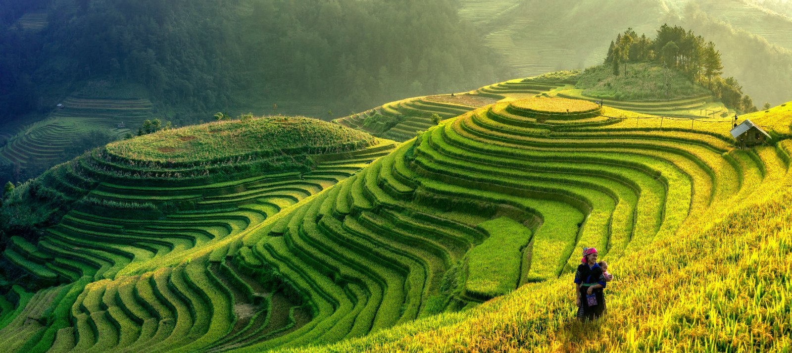 Viaje a Vietnam con trekking accesible en Sapa